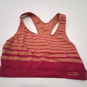 ☮️Champion Pink and Tan Striped Sports Bra Size Medium